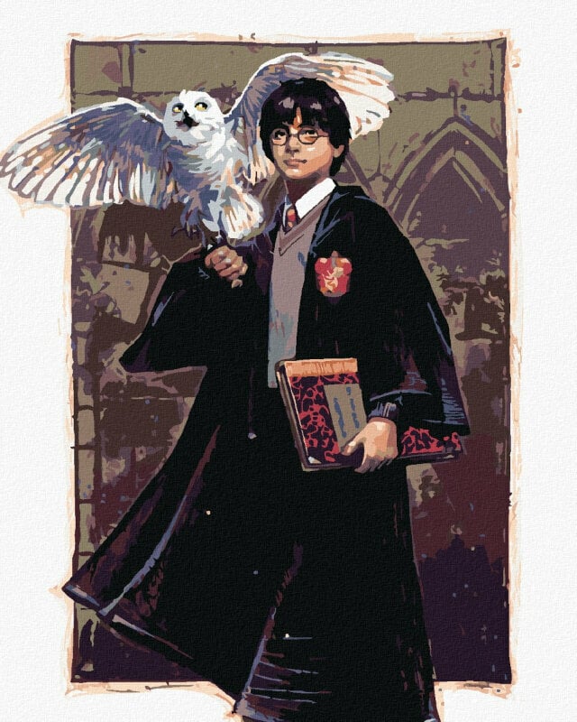 Picturi pe numere Zuty Pictură pe numere Harry Potter și Hedwig la Hogwarts