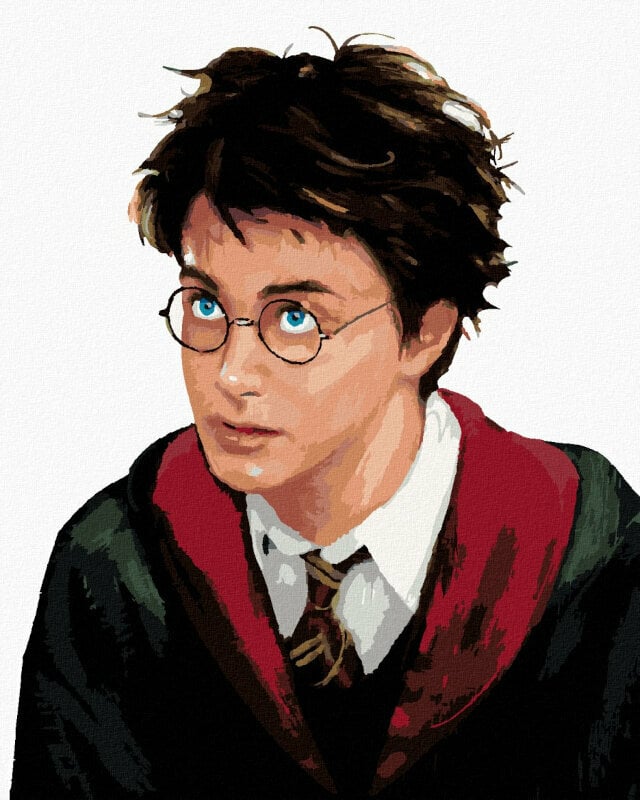 Dipingere con i numeri Zuty Colorare coi numeri Ritratto di Harry Potter