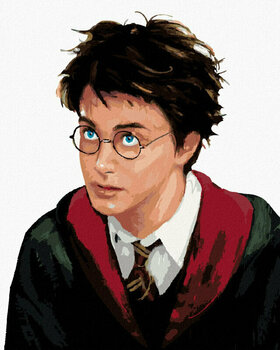 Festés számok szerint Zuty Festés számok alapján Harry Potter portréja - 1