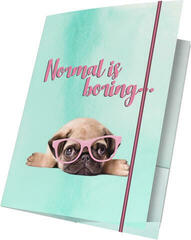 Zestawa artystyczne i kreatywne Paso Polska Tecka na rysunki Pies A4 (Tylko rozpakowane)