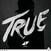 Płyta winylowa Avicii - TRUE (LP)