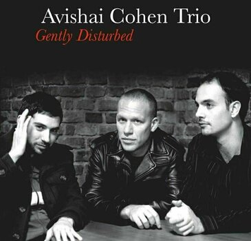 Disco in vinile Avishai Cohen - Gently Disturbed (LP) - 1