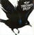 Δίσκος LP Fat Freddy's Drop - Blackbird (2 LP)