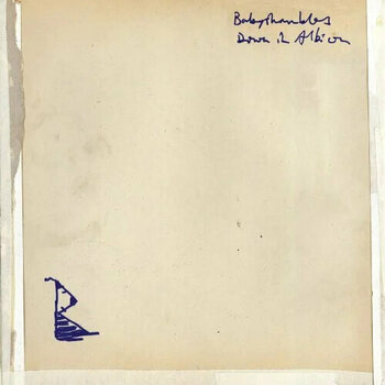 Vinyl Record Babyshambles - Down In Albion (2 LP) - 1