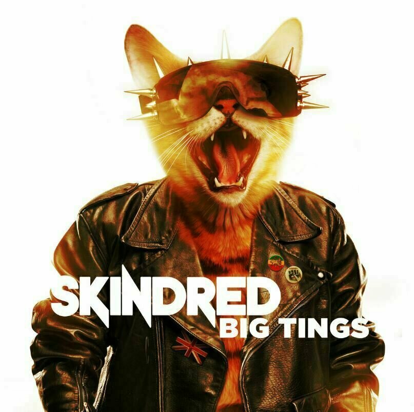 LP deska Skindred - Big Tings (LP)