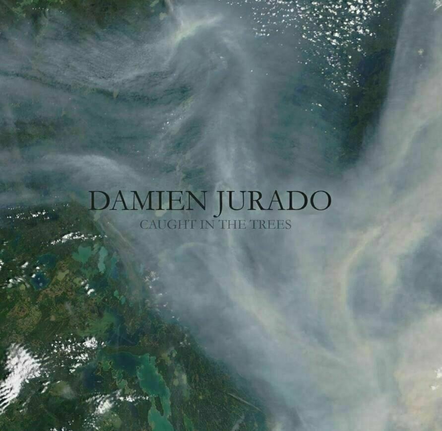 Vinyl Record Damien Jurado - Caught In the Trees (LP)