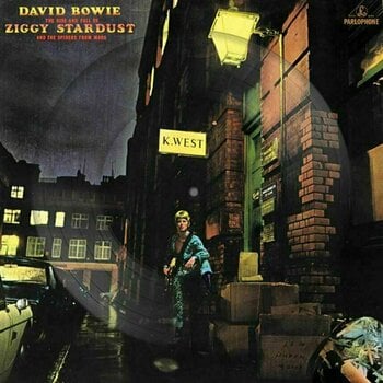 LP deska David Bowie - The Rise And Fall Of Ziggy Stardust And The Spiders From Mars (Picture Disc) (LP) - 1