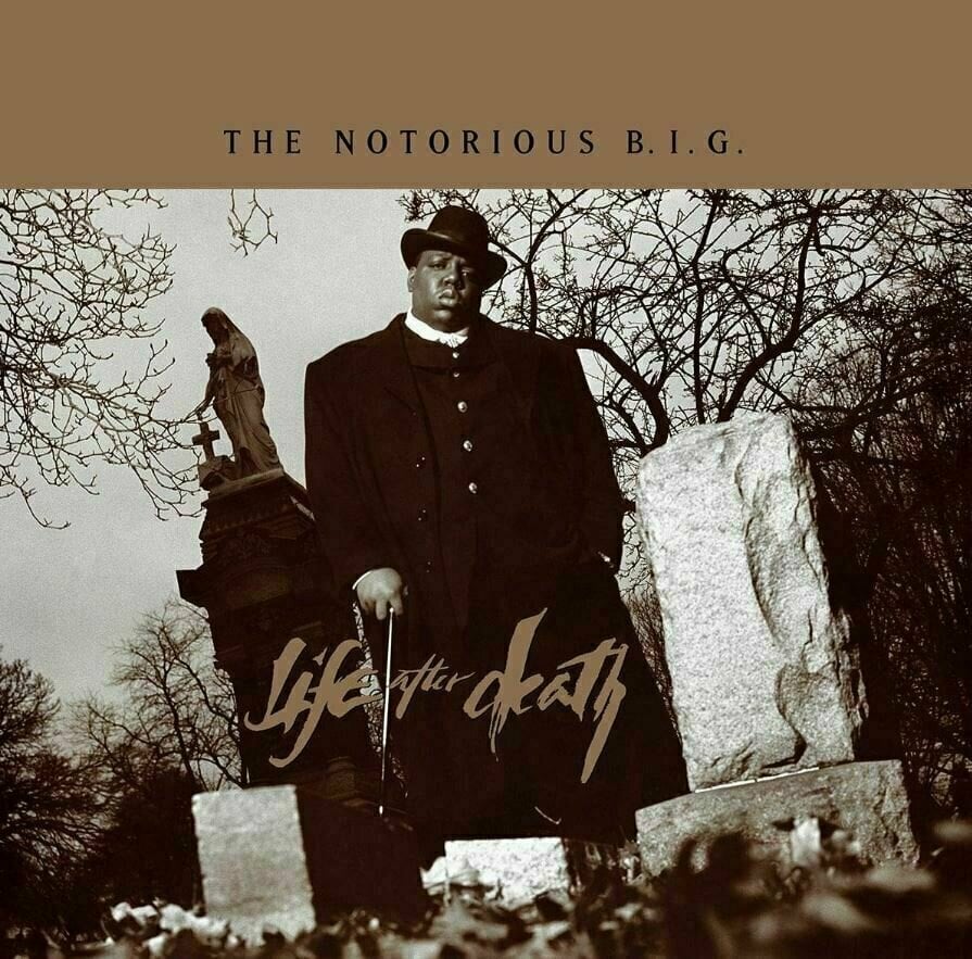 Vinyl Record Notorious B.I.G. - Life After Death (Deluxe Edition) (8 LP)