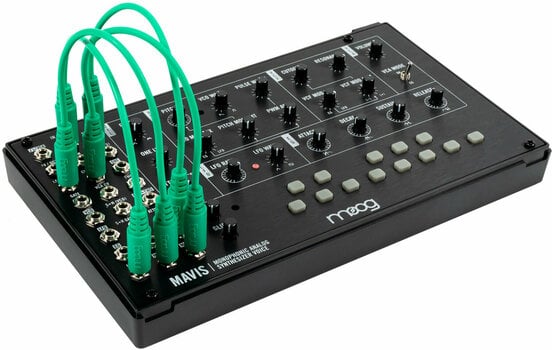 Synthesizer MOOG Mavis - 1