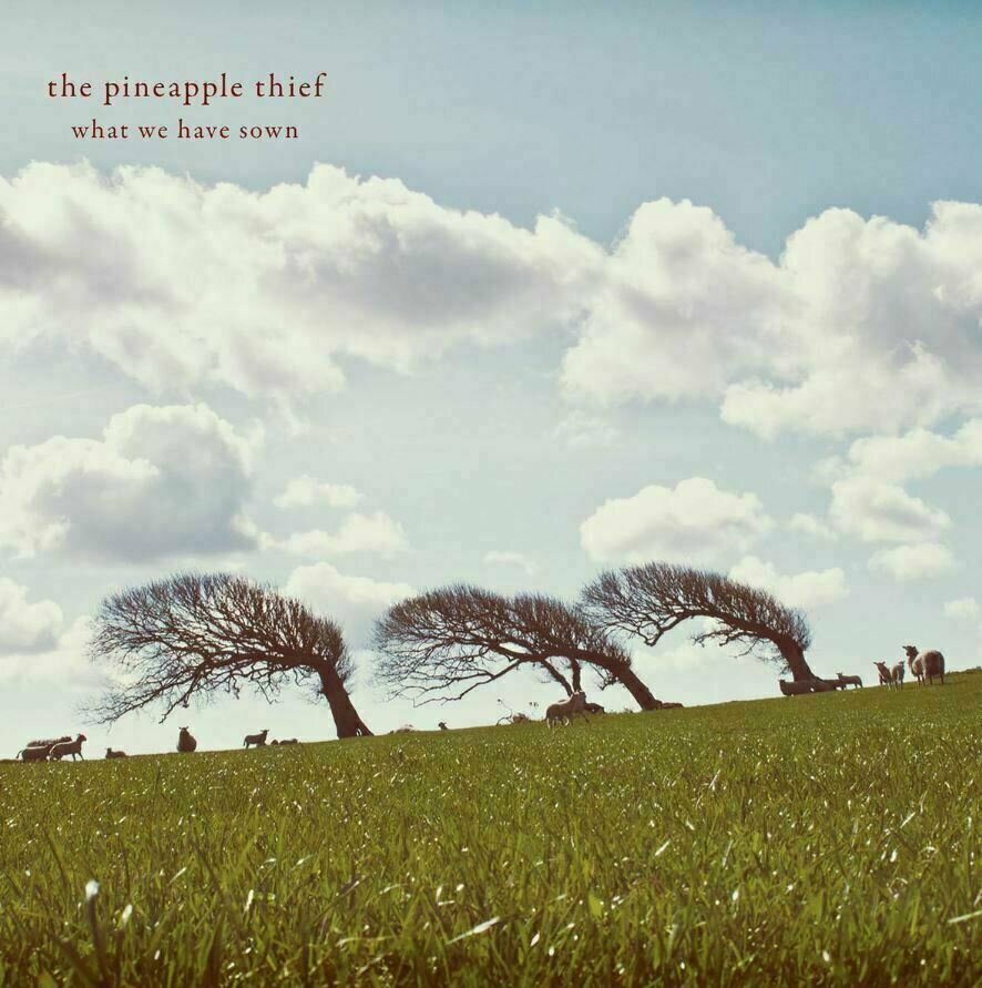 Vinyl Record The Pineapple Thief - What We Have Sown (2 LP)