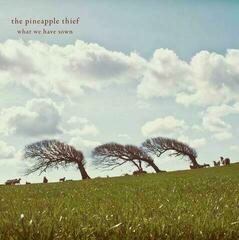 Schallplatte The Pineapple Thief - What We Have Sown (2 LP)