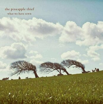 Vinyl Record The Pineapple Thief - What We Have Sown (2 LP) - 1