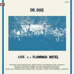 LP Dr. Dog - Live At A Flamingo Hotel (2 LP)