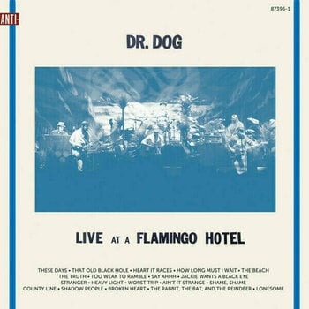 Vinyl Record Dr. Dog - Live At A Flamingo Hotel (2 LP) - 1