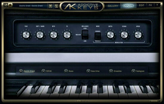 Opdateringer og opgraderinger XLN Audio AK: Electric Grand (Digitalt produkt) - 1