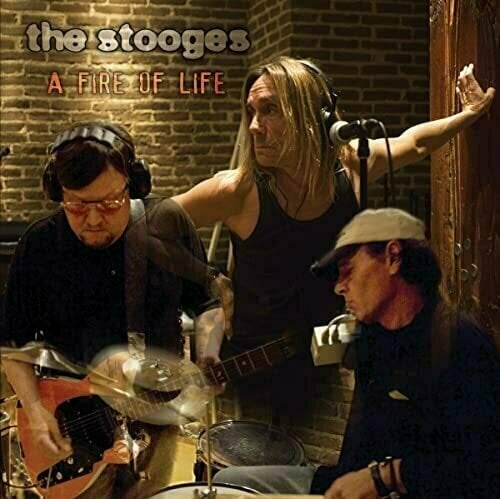 Disco de vinilo The Stooges - A Fire Of Life (Orange Vinyl) (2 LP)
