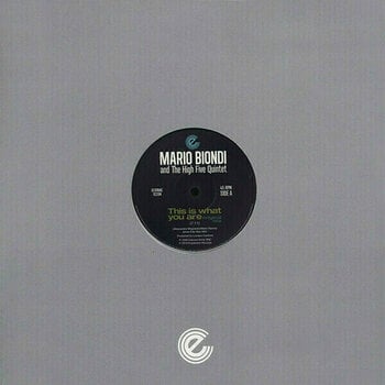 Vinyl Record Mario Biondi - This Is What You Are (12" Vinyl) - 1