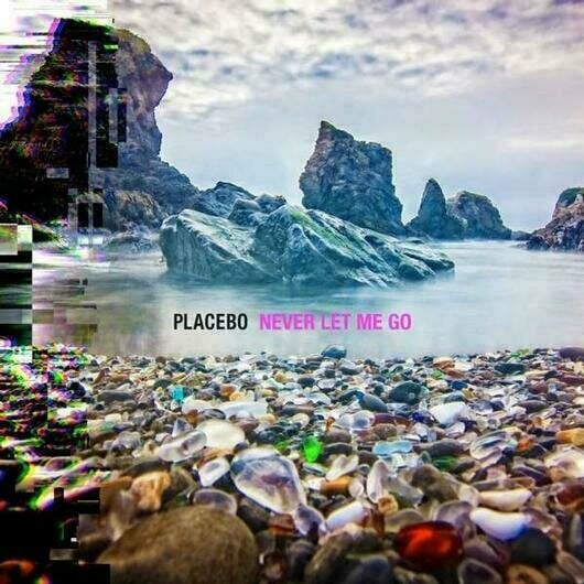 Disco de vinil Placebo - Never Let Me Go (2 LP)