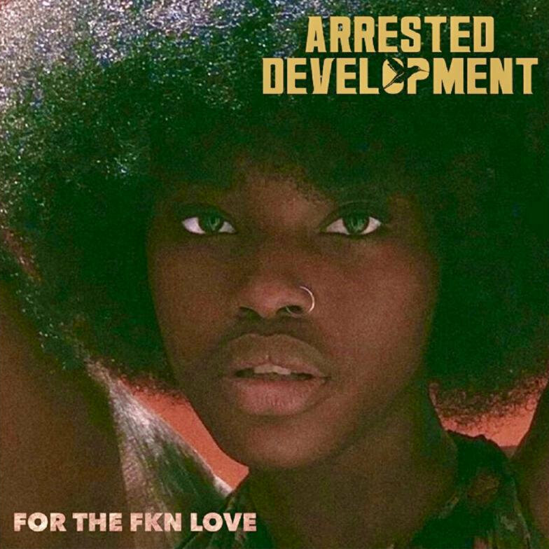 Vinyl Record Arrested Development - For The Fkn Love (2 LP)