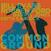 LP Robben Ford - Common Ground (2 LP)