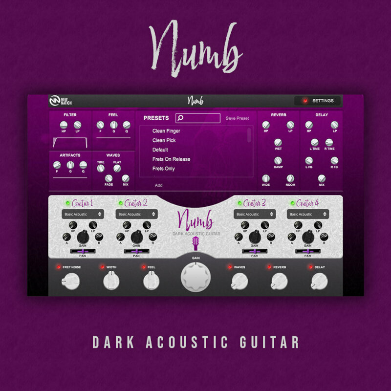 Logiciel de studio Instruments virtuels New Nation Numb - Dark Acoustic Guitar (Produit numérique)
