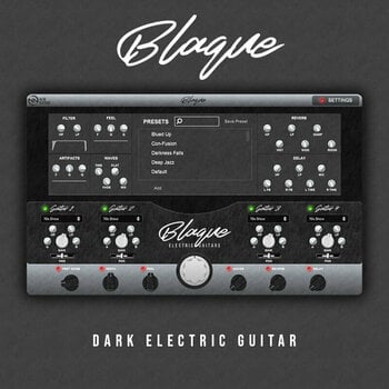 Софтуер за студио VST Instrument New Nation Blaque - Dark Electric Guitar (Дигитален продукт) - 1