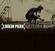 Hudobné CD Linkin Park - Meteora (CD)