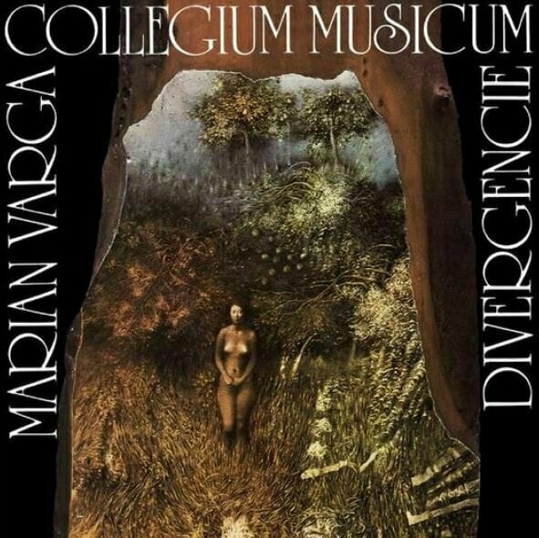 Vinylskiva Collegium Musicum - Divergencie (180g) (2 LP)