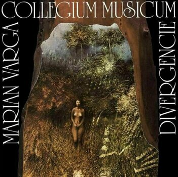 Δίσκος LP Collegium Musicum - Divergencie (180g) (2 LP) - 1