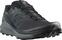 Trail tekaška obutev Salomon Sense Ride 4 Black/Quiet Shade/Ebony 40 2/3 Trail tekaška obutev