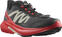 Chaussures de trail running Salomon Hypulse Magnet/Poppy Red/Black 41 1/3 Chaussures de trail running