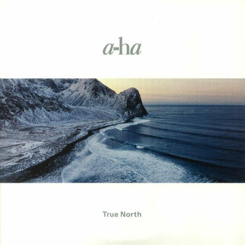 Schallplatte A-HA - True North (Gatefold) (Booklet) (Metallic Embossing) (180 g) (2 LP) - 1