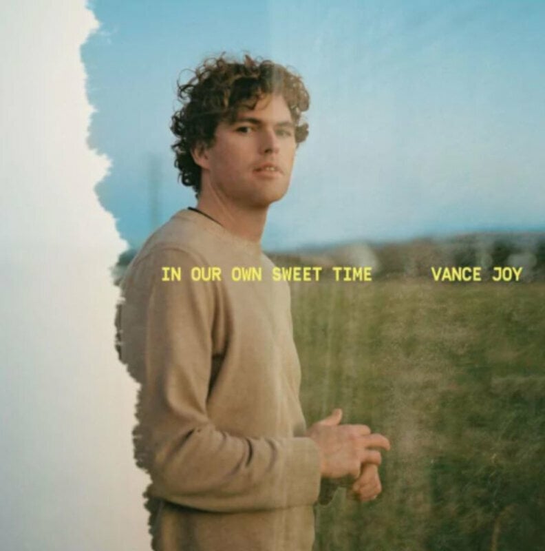 Vinyylilevy Vance Joy - In Our Own Sweet Time (LP)