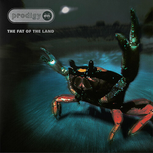 LP deska The Prodigy - Fat Of The Land (25Th Anniversary) (Limited) (Silver Vinyl) (2 LP)