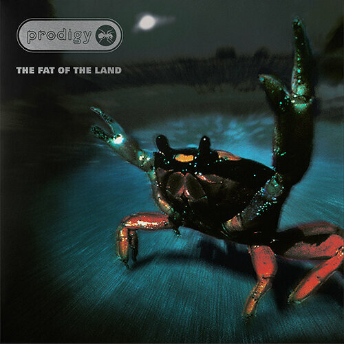 Płyta winylowa The Prodigy - Fat Of The Land (25Th Anniversary) (Limited) (Silver Vinyl) (2 LP)