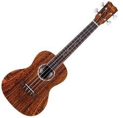 Koncertné ukulele Cordoba 15CB Natural Koncertné ukulele