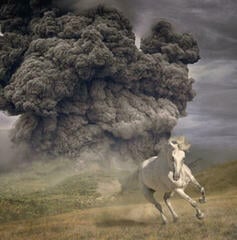 Vinüülplaat The White Buffalo Year Of The Dark Horse (LP)