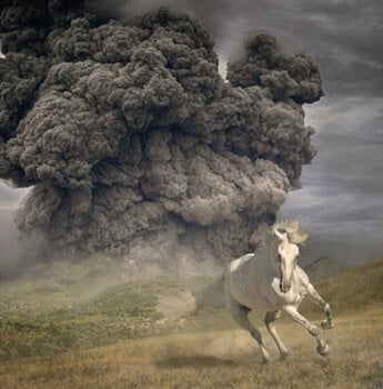 Грамофонна плоча The White Buffalo - Year Of The Dark Horse (LP) - 1