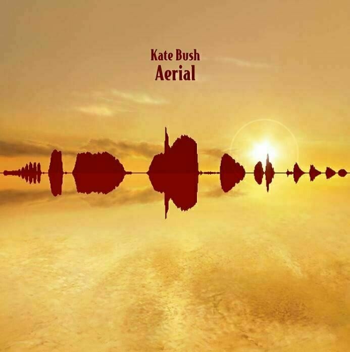 Vinyylilevy Kate Bush - Aerial (2 LP)