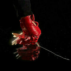 LP ploča Datarock - Face The Brutality (LP)