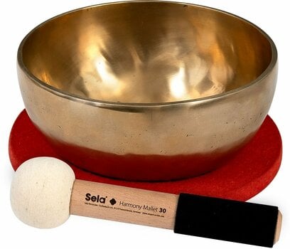Percussion for music therapy Sela Harmony Singing Bowl 22 - 1