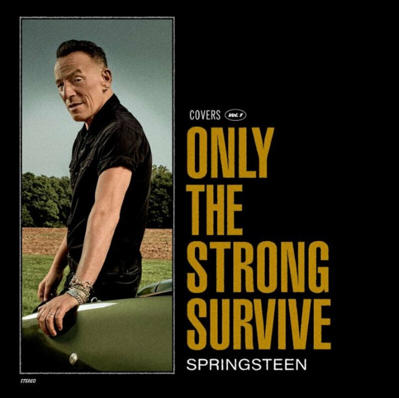 LP deska Bruce Springsteen - Only The Strong Survive (Gatefold) (Poster) (Etched) (2 LP)