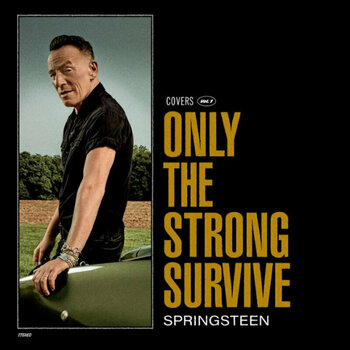 Δίσκος LP Bruce Springsteen - Only The Strong Survive (Gatefold) (Poster) (Etched) (2 LP) - 1