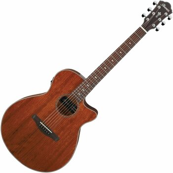 Jumbo elektro-akoestische gitaar Ibanez AEG220-LGS Natural - 1