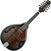 Mandolină Ibanez M510E-DVS Dark Violin Sunburst