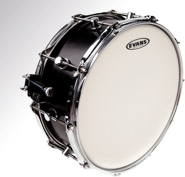 Drum Head Evans B11G1