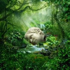 Vinüülplaat Weezer - Sznz: Spring (LP)