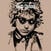 Vinyylilevy Bob Dylan - Vinyl Story (LP + Comic)