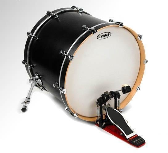 Blana na bubon Evans BD 24 G 1 CW