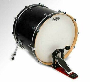 Blana na bubon Evans BD 24 G 1 CW - 1